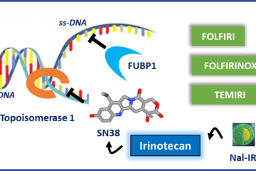 Irinotecan: 25 years of cancer treatment