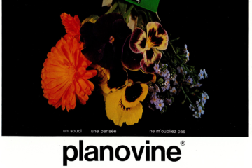 Planovine