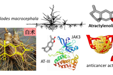 Atractylenolides